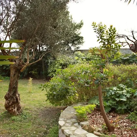 Matilde Appartement *